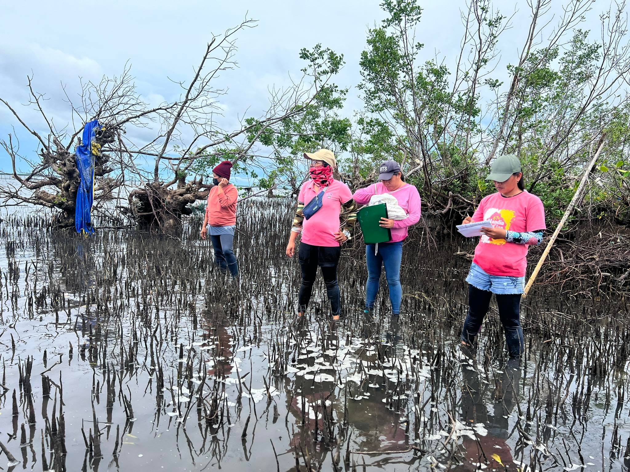 Kababayen-an Para sa Kinaiyahan: Women Take the Lead in the Assessment of Typhoon-Damaged Mangroves of Bohol 